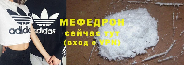 стаф Верея
