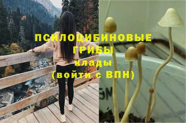 jwh Верхний Тагил
