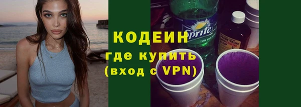стаф Верея